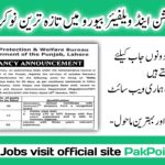 Latest Child Protection and Welfare Bureau Lahore Jobs 2024